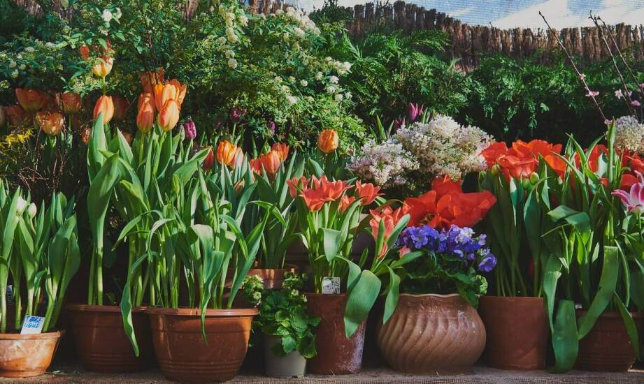 Donica kwadratowa 60x60 – jakie materiały są najlepsze do jej produkcji?