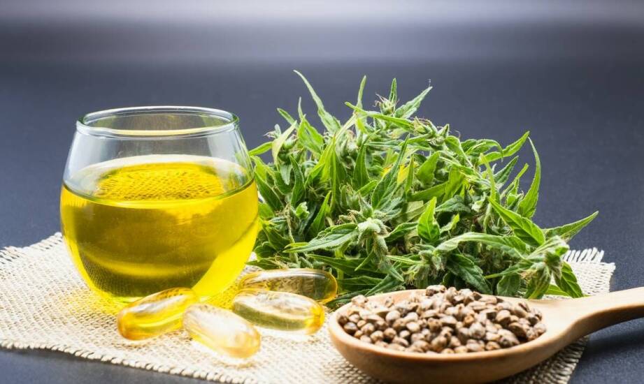 Susz konopny w codziennej diecie – jakie właściwości zdrowotne posiada?