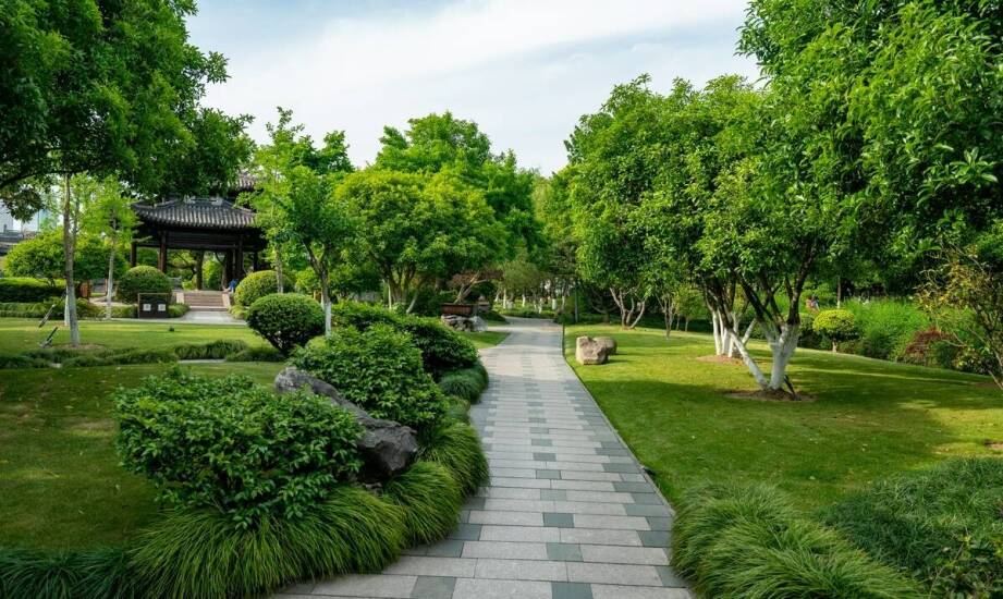 Sztuka projektowania ogrodów – co wyróżnia nasze podejście?