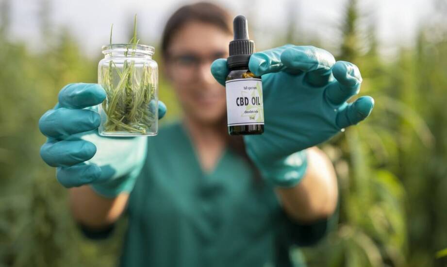 Podejście do zakupu olejku CBD: co warto wiedzieć przed podjęciem decyzji?