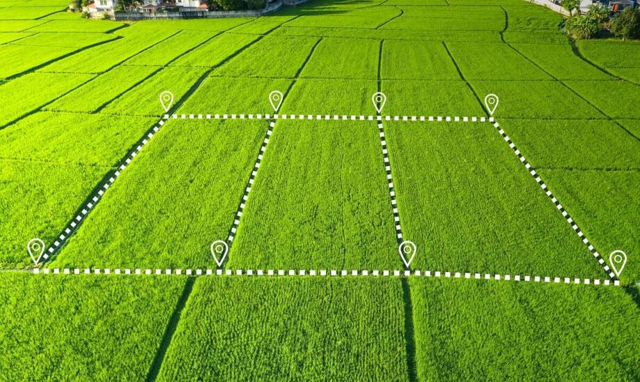 W jaki sposób wyznaczanie granic działki wpływa na wycenę nieruchomości?