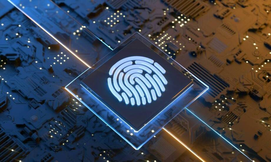 Jak prawo autorskie wpływa na ochronę marki w sieci?