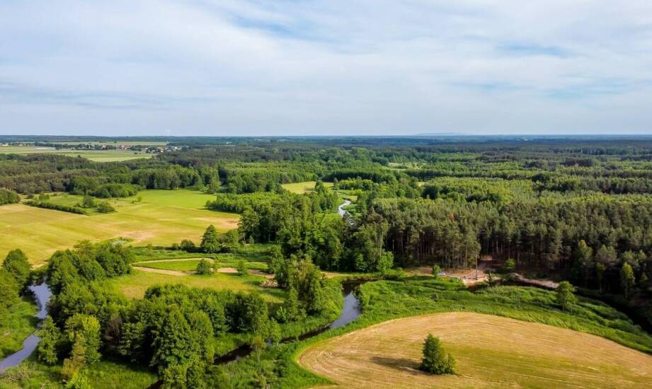 Organizacja jubileuszy na Mazurach: jak zapewnić niezapomniane wspomnienia?