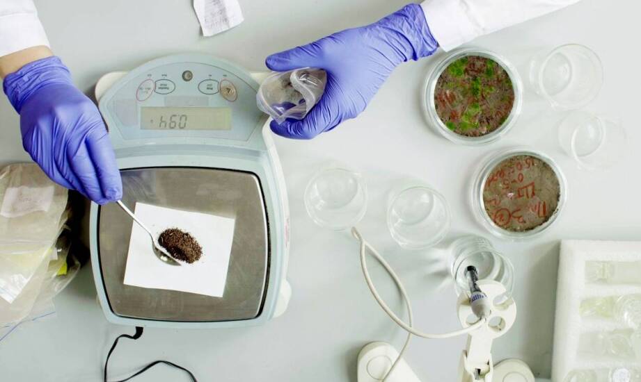 Oszczędność czy ryzyko? Dlaczego nie warto zaniedbywać legalizacji wag