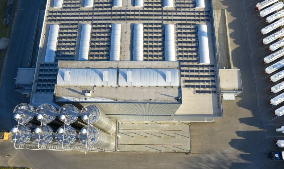 Innowacyjne rozwiązania w maszynach do produkcji rozpałki - co oferuje rynek?