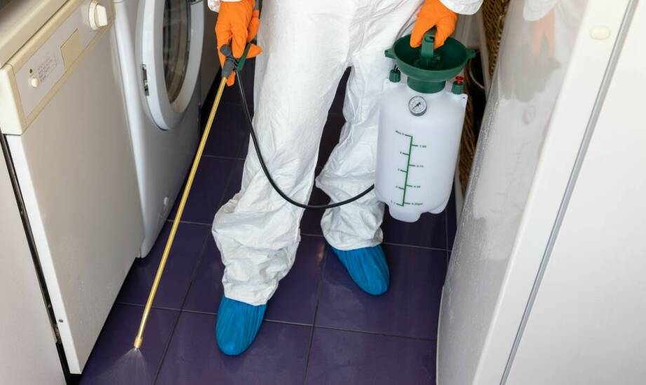 Innowacyjne metody dezynsekcji prusaków – co oferujemy?