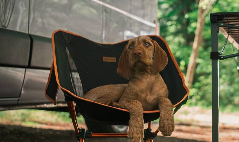 Jakie akcesoria można zamontować na fotelach wędkarskich?