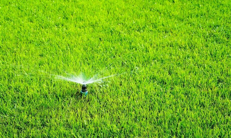 Trawniki rolowane: Jakie metody nawadniania są najbardziej efektywne?