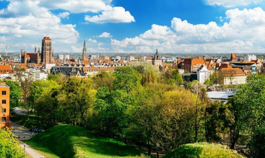 Dlaczego Gniezno i Biskupin to doskonałe miejsca na wycieczki szkolne?