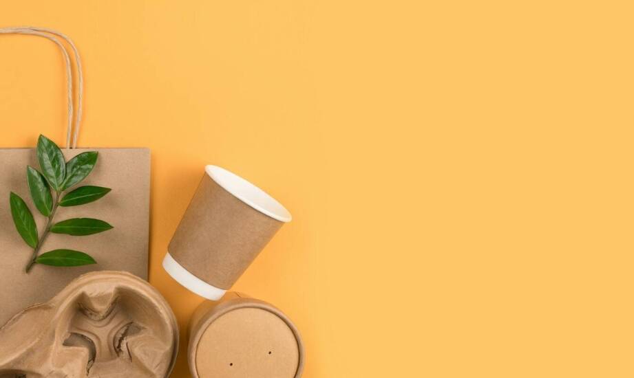 Zalety ekologicznych pudełek na frytki w gastronomii na wynos