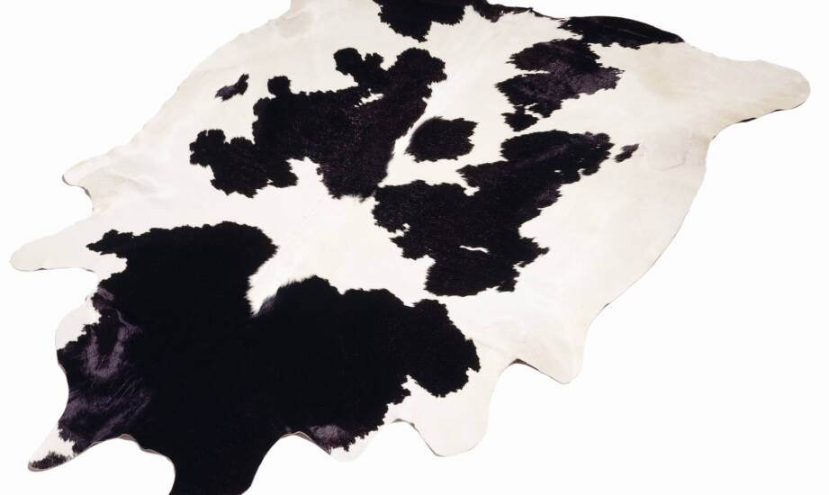 Trendy kolorystyczne w dywanach ze skóry bydlęcej