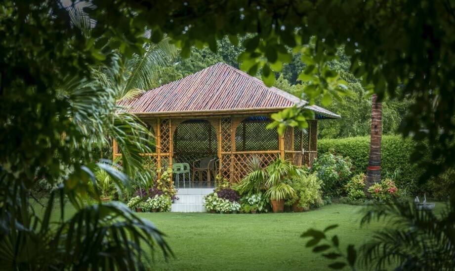 Zalety drewnianych wiat w przestrzeni przydomowej