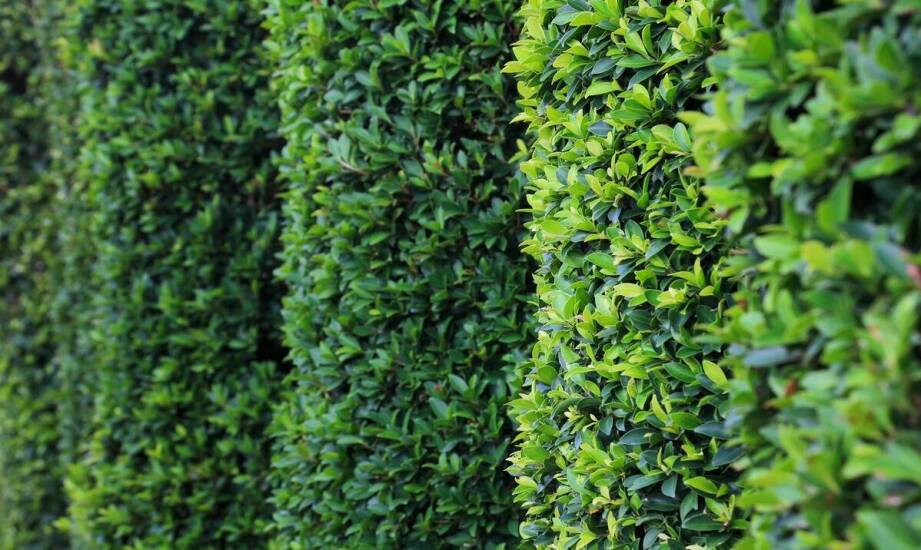 Jakie są ekologiczne aspekty wyboru sztachet metalowych?