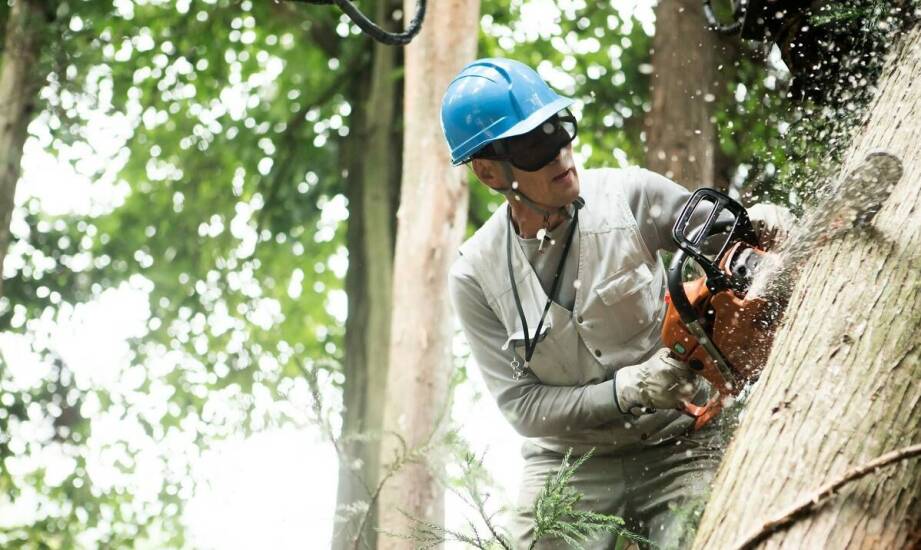 Dlaczego warto skorzystać z usług cięcia konstrukcji stalowych?