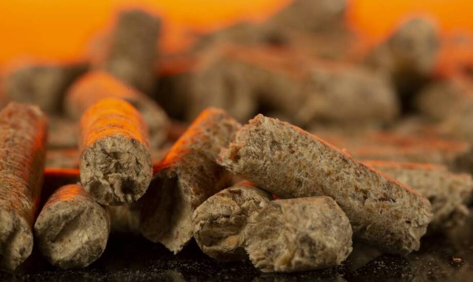 Zalety brykietu z trocin iglastych w formie walca