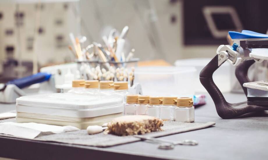 Jak przenośne spektrofotometry zwiększają precyzję pomiarów w różnych branżach?