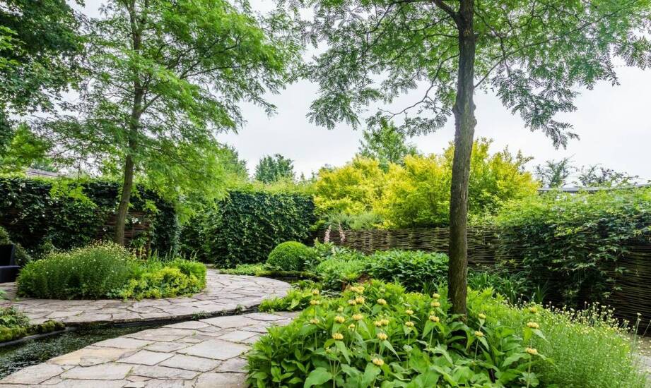 Wyjątkowe miejsca do trekkingu po lewadach Madery - odkryj ich urok