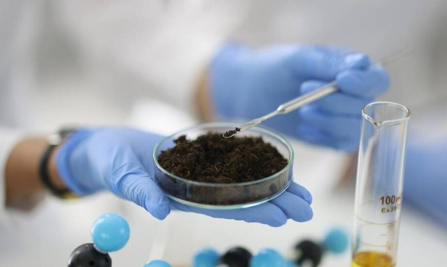 Badania zanieczyszczenia gleby jako element strategii ochrony środowiska