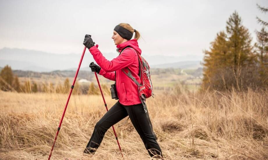 Jak nordic walking jest wykorzystywany w programach aktywizacji seniorów?