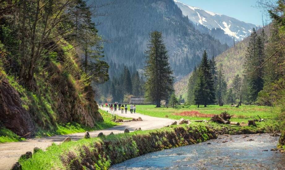 Trasa rowerowa wzdłuż Dunaju – odkryj malownicze zakątki Europy na dwóch kółkach