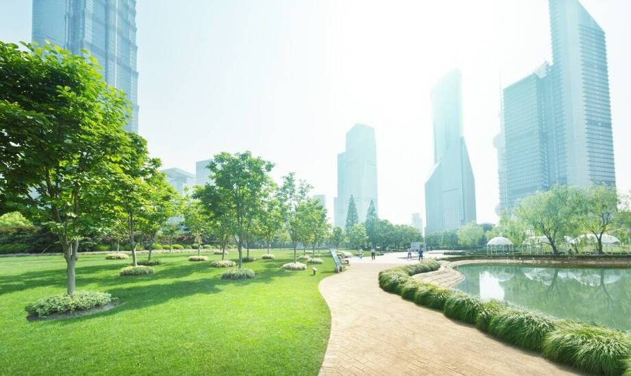 Wzmacniacze sygnału GSM: jakie modele najlepiej sprawdzają się w przestrzeniach rekreacyjnych?