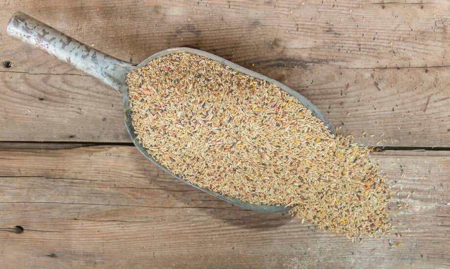 Jakie korzyści przynosi stosowanie pasz z dodatkiem białka sojowego dla świń?