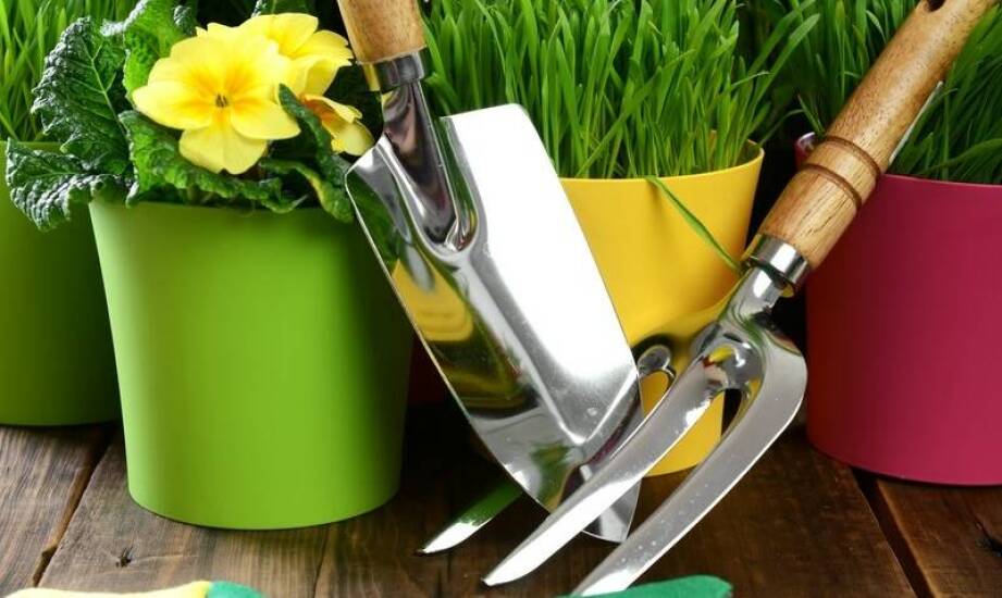 Sekatory ręczne vs. sekatory elektryczne – który sprzęt wynająć?