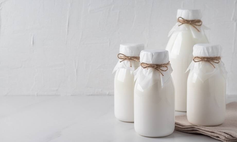 Jakie szczepy wybrać do domowego jogurtu probiotycznego?