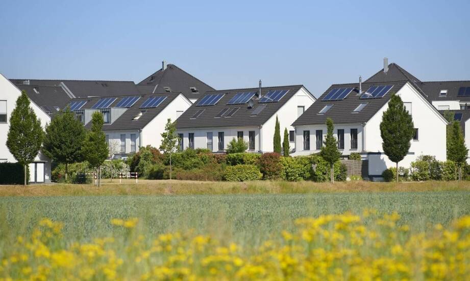 Rola programów dotacyjnych w rozwoju odnawialnych źródeł energii