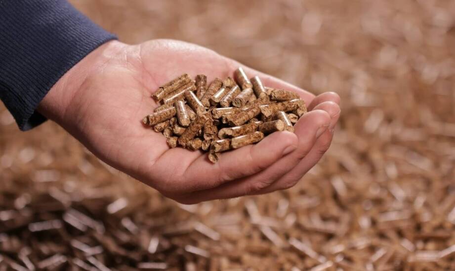 Czym wyróżnia się pellet dostępny w Pruszczu Gdańskim na tle konkurencji?