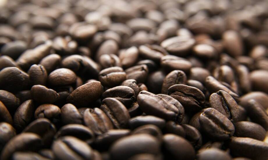 Porównanie kawy Bristot Gentile ziarnistej z innymi popularnymi mieszankami