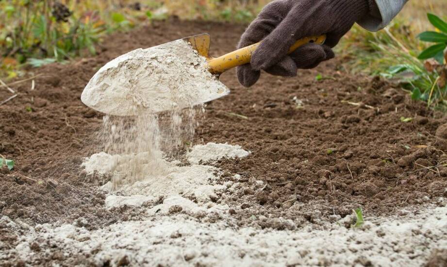 Rola mulczu celulozowego w procesie rekultywacji gleby