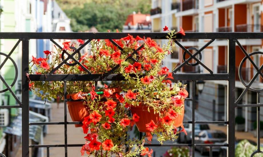 Skrzynka balkonowa wisząca a optymalne wykorzystanie przestrzeni na balkonie