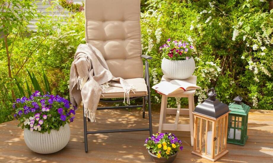 Jakie donice wybrać do uprawy roślin balkonowych?