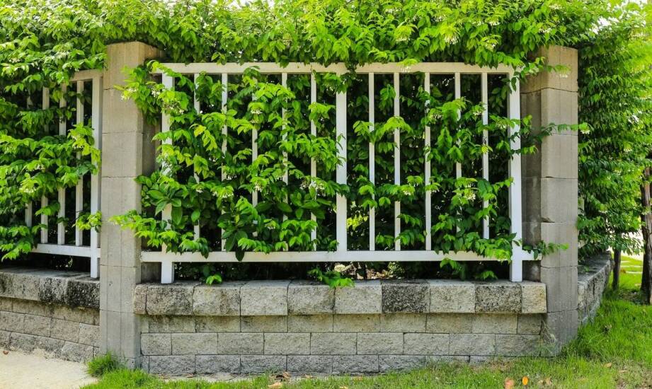 Stojaki na rowery z betonu: funkcjonalność i nowoczesny design w ogrodzie