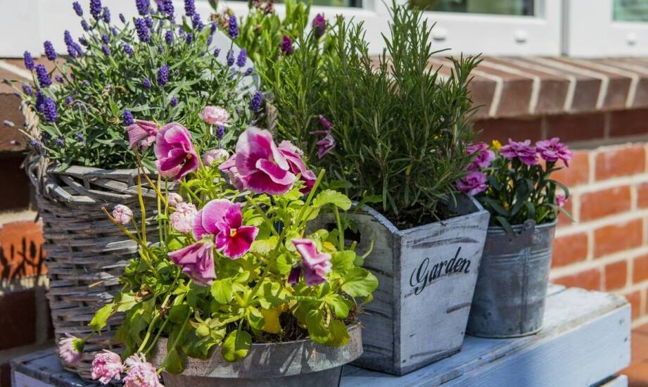 Wybór skrzynki balkonowej na kwiaty - co warto wiedzieć?