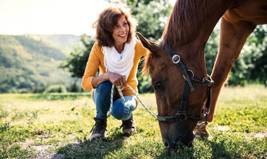Jak odróżnić objawy kolki u konia od innych dolegliwości zdrowotnych?