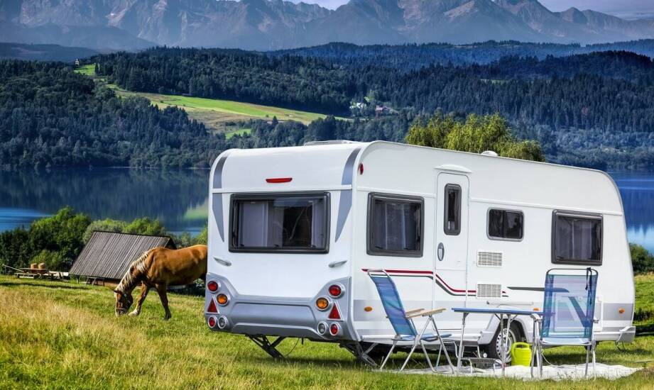 Dlaczego wentylacja w koniowozie na 2 konie jest tak ważna?