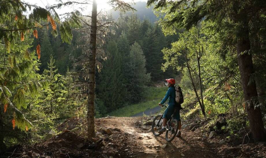 Jak uniknąć błędów podczas organizacji wakacji rowerowych?