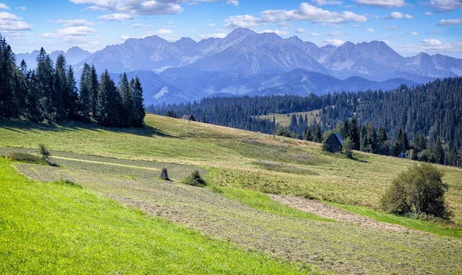 Dlaczego warto skorzystać z doradztwa kredytowego przy zakupie nieruchomości w Buczkowicach?