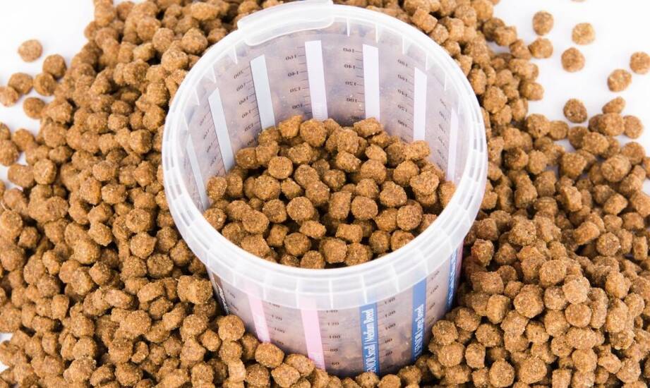 Znaczenie proporcji białka i tłuszczu w karmie dla yorka