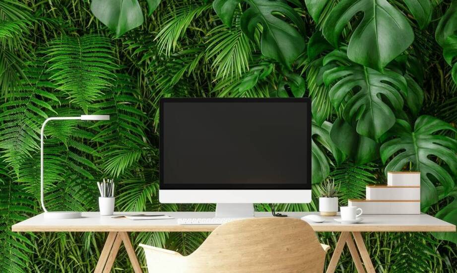 Jak wykorzystać adres wirtualny do budowania relacji z klientami?