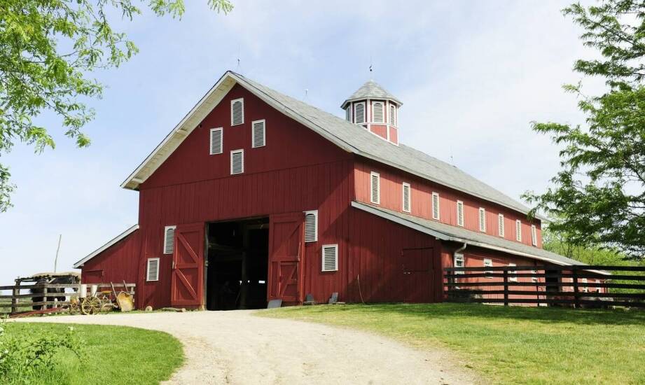 Zrównoważone rozwiązania w budowie hal jeździeckich – co oferuje rynek?