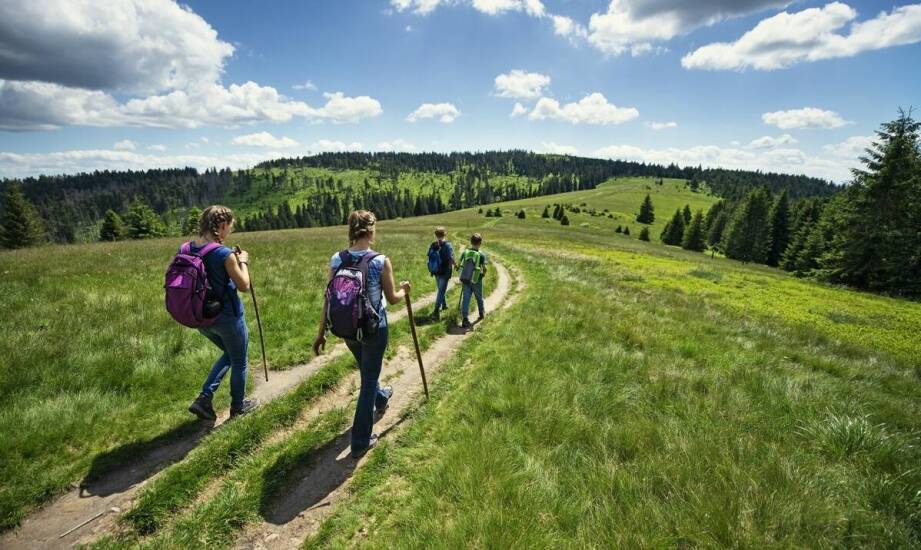 Jak dostosować wycieczkę po Szlaku Piastowskim do indywidualnych potrzeb uczestników?