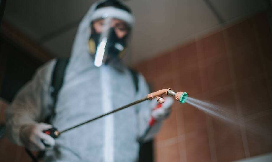 Przyszłość usług firmy DDD w kontekście rozwoju technologii