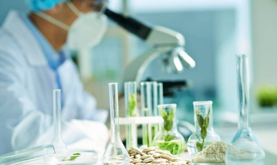 Rola testów laboratoryjnych w zapewnieniu jakości karmy dla dzikich ptaków