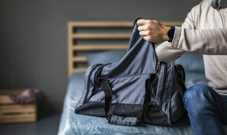 Nosidełka dla kota a komfort – co warto wiedzieć przed zakupem?