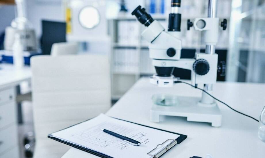 Jak sorbent absol przyczynia się do redukcji ryzyka ekologicznego?