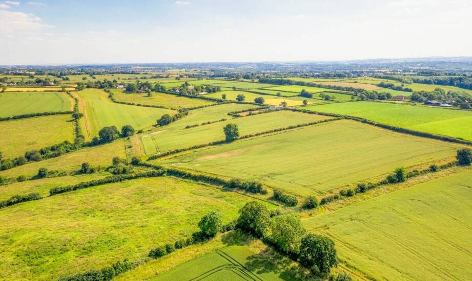 Jakie czynniki klimatyczne uwzględnić przy planowaniu nawadniania?
