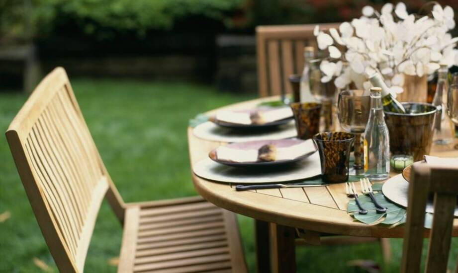 Jakie rośliny sadzić obok lilaka pospolitego białego, by uzyskać spójny efekt?